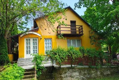 Cabana ta de vis #238;n inima naturii Padurea Neagra - Bihor