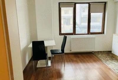 Apartament 1 camera-Torontalului-Universitatea de Agronomie - 2