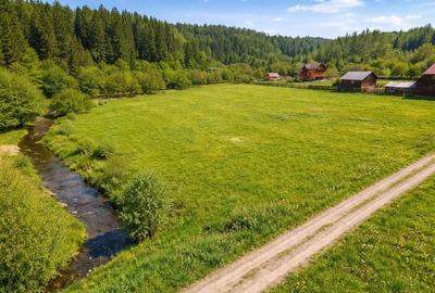 Teren de 4150 mp, în Beba Veche - 2