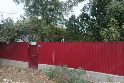 Casa batraneasca Chilia Veche - 4