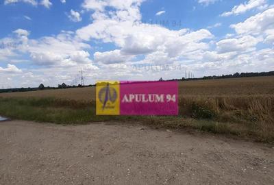 Teren 715mp in Snagov langa Equestria - 7