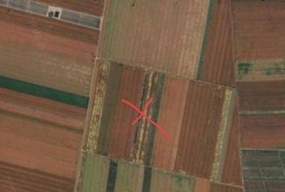 Teren de 30000 mp, în Dumbrăveni