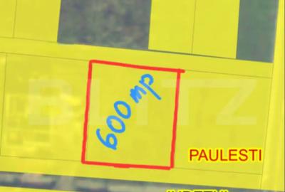 Teren de 600 mp, în Păulești - 1