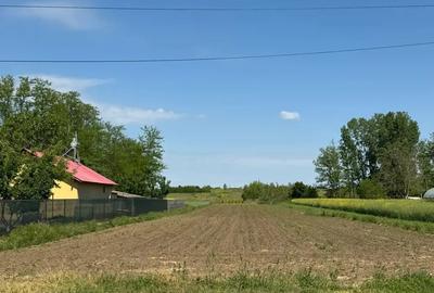 Teren de 1500 mp, în Mânăstirea - 4