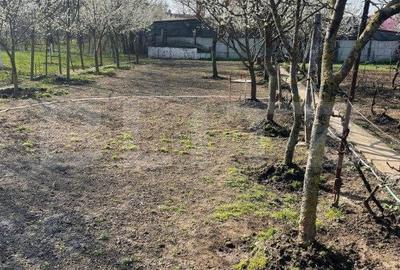 Teren de 1850 mp, în Sânandrei - 3