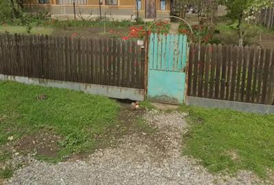 Casă cu 6 camere cu Teren 3555 Mp în Ileana - 2