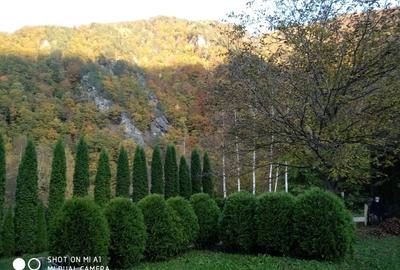 Vilă de vânzare în munții Retezat - 15