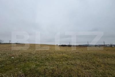 Teren de 7665 mp, în Central