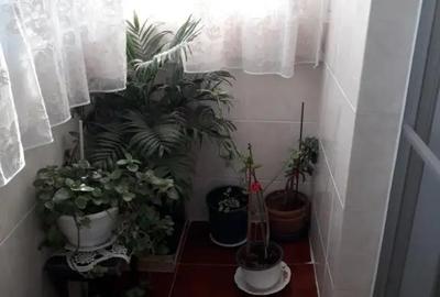 Apartament cu 3 camere decomandat în 2 Moldoveni - 6