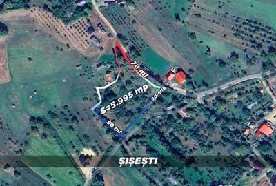 Teren de 5995 mp, în Șișești - 2