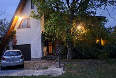Vila de poveste 5 camere zona Bolintin Vale, judetul Giurgiu - 10