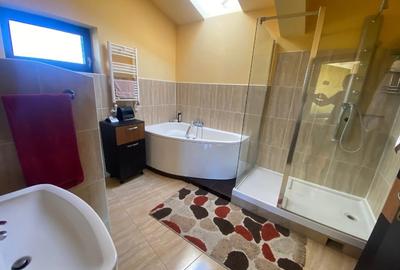 Proprietar - Casă deosebită de vanzare/închiriere Dumbrăvița, jud Timis - 15