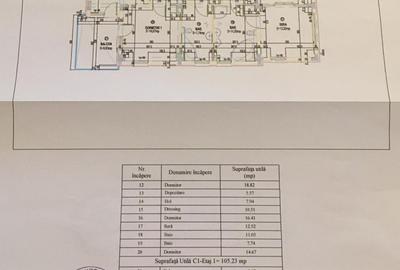 Izbiceni-Coralilor-Damaroaia,eleganta si robusta,cu garaj,curte intima,vegetatie - 45