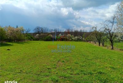 Teren de 3000 mp, în Scobinți - 6