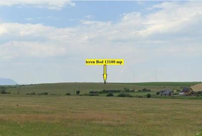 Teren agricol extravilan de 13100 mp, în Bod - 8