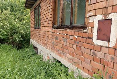 Teren agricol extravilan de 16000 mp, în Borlovenii Noi - 17