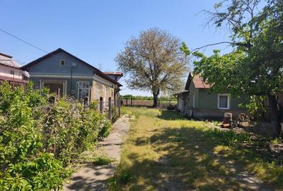 Casă cu 2 camere în Brezoaia - 3