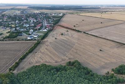 Teren Construcții intravilan de 40300 mp, în Tamași - 2