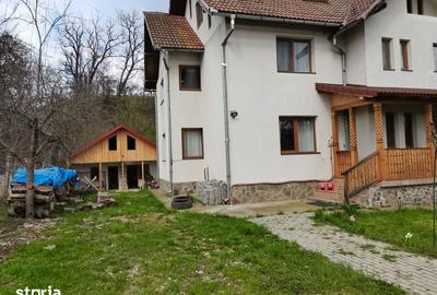 Casă cu 5 camere cu Teren 1000 Mp în Aninoasa - 4