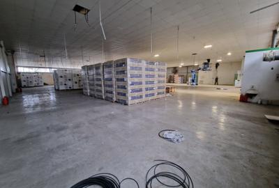 Hala industriala 1400 mp, spatiu depozitare logistica birouri acces TIR - 4