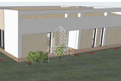 Oportunitate de investitie în Mosnita Noua - 2