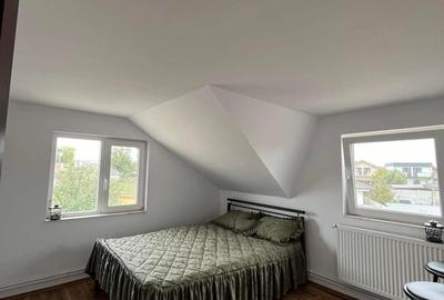 Vilă cu 7 camere, 3 băi, P+M, garaj, terasă, 1130 mp teren, Sântandrei, Bihor. - 11