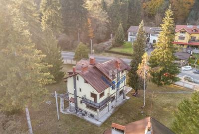 Casă individuală cu 6 camere cu Teren 3677 Mp în Timișu de Sus - 4