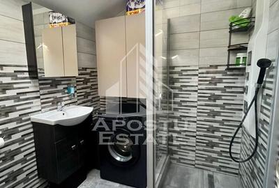 Doua apartamente la curte comuna,zona Traian - 21