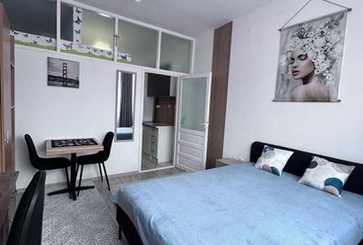 Garsonieră semidecomandată în Drumul Carului - 8