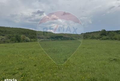 Casă cu 4 camere cu Teren 57600 Mp în Zimbor - 12