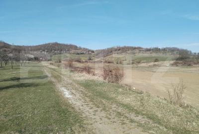 Teren de 90000 mp, în Aninoasa - 3