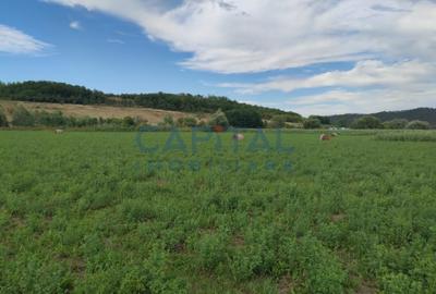 Comision %! Teren intravilan 22 400 mp, suprafata plana, sat Fundatura Cluj - 4