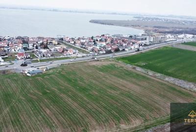 Teren Construcții intravilan de 2900 mp, în Nord - 11