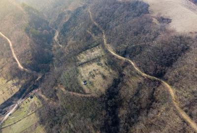 Teren de 8900 mp, în Laz (Săsciori) - 3