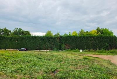 Teren Construcții intravilan de 600 mp, în Micești - 2