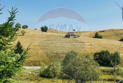 Teren in centrul localitatii Sirnea cu priveliste superba!