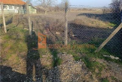 Teren Construcții intravilan de 4232 mp, în Merei - 3