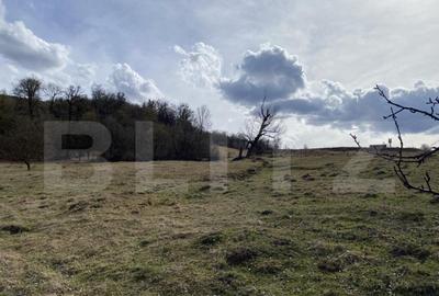 Teren extravilan in suprafata de 7500 mp la poalele Mesesulu - 3