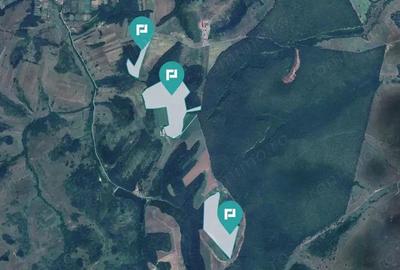 Padure 50,7 ha in jude?ul Arad - 1