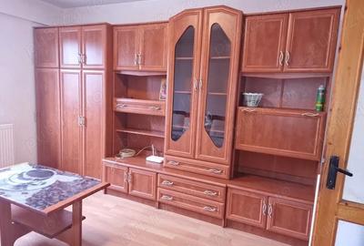 Inchiriez camera de camin cu bucatarie si baie - 7