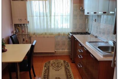 Apartament cu 2 camere decomandat, mobilat în Boema - 6