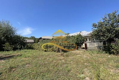 Casa de vanzare in Bacau Valea Seaca teren generos și anexe - 12