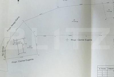 Casa batraneasca cu teren de 6700 mp intravilan, Ipatele - 4