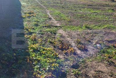 Spațiu comercial, în Jieni - 2