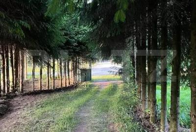 Casa deosebita in comuna Vidra, jud. Alba - 13