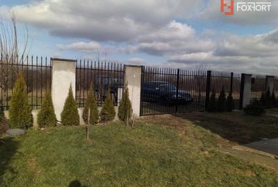 Casa individuala cu 5 camere de vanzare in Sag - ID V155 - 25