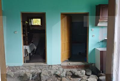 Casa dubla in comuna Hatuica, chiar in vecinatatea ba - 14