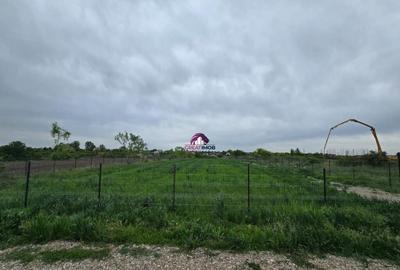 Teren 5600 mp Snagov Lac - 13