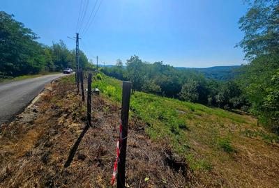 Teren intravilan 2322 mp, Păcuri – vedere superbă spre pădure! - 1