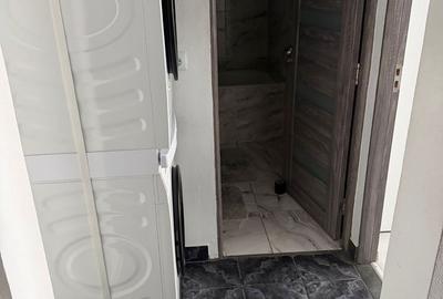 Garsonieră decomandată în Nufărul - 2